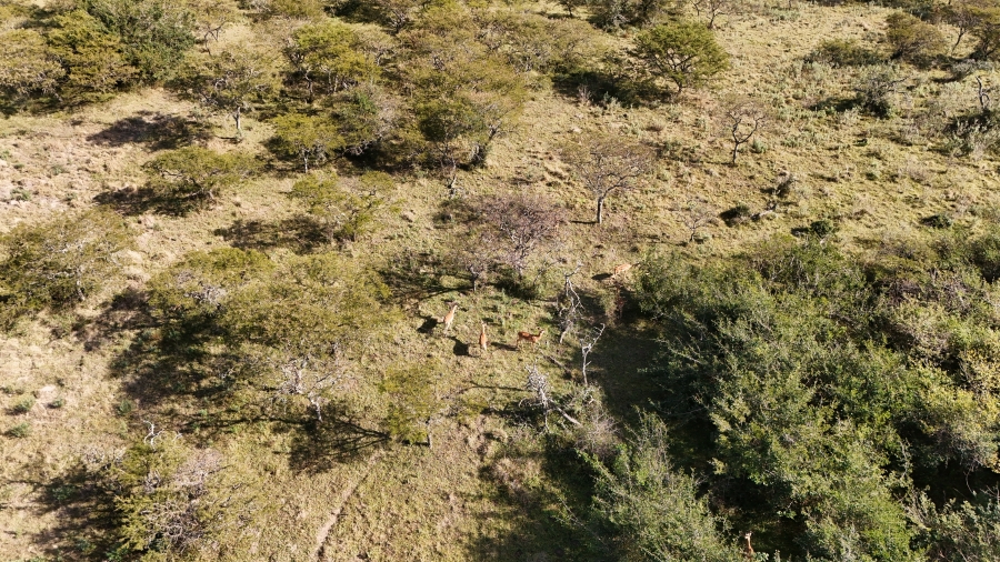 Commercial Property for Sale in Kei Road Eastern Cape